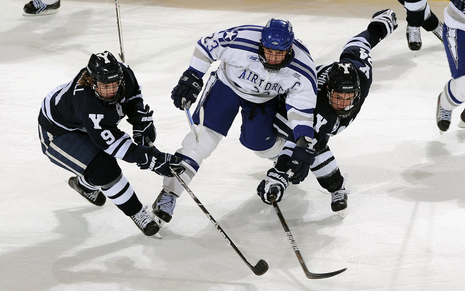 牙买加收割切尔西，阿劳霍如何成为加勒比风暴中的关键先生